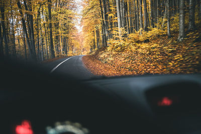 Road amidst trees in forest during autumn