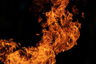 Close-up of fire against black background