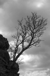 Low angle view of bare tree against sky