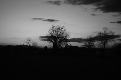 Silhouette of bare trees at sunset