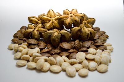 Close-up of candies against white background