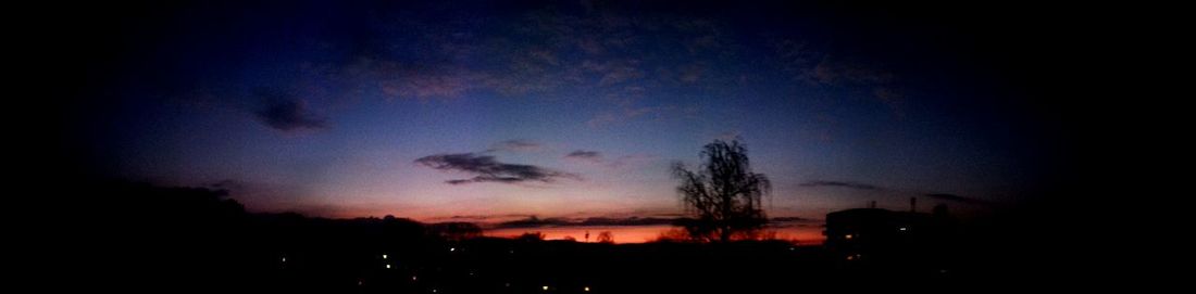 Silhouette of trees at sunset