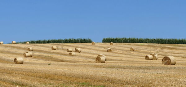 Hay bales on field against clear sky