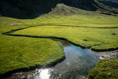 Scenic view of stream amidst green landscape