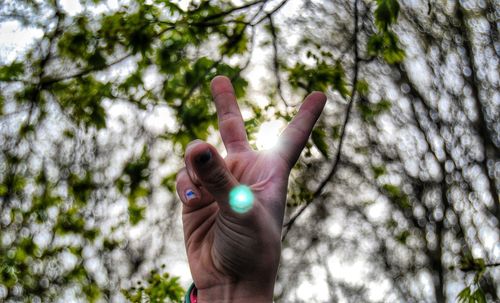 Low angle view of person showing peace sign against trees