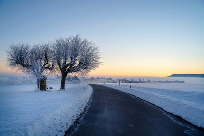 Bare trees on snow covered road against sky