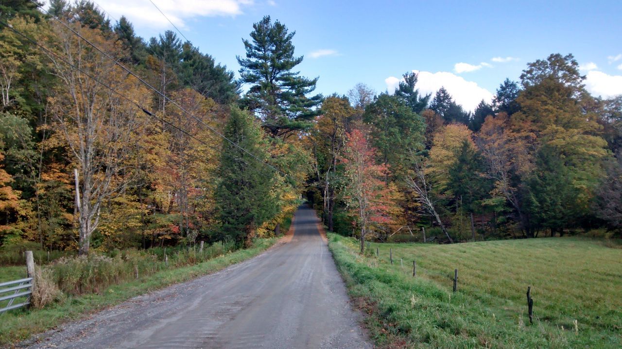 Fall colors back road beauty