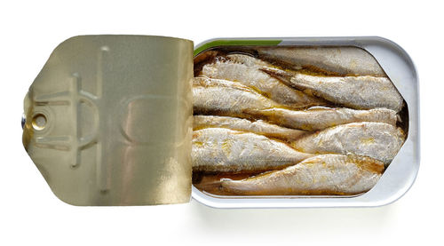 High angle view of fish on white background
