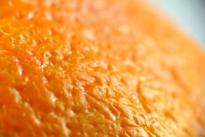 Close-up of orange