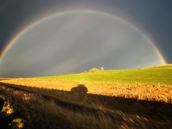 rainbow