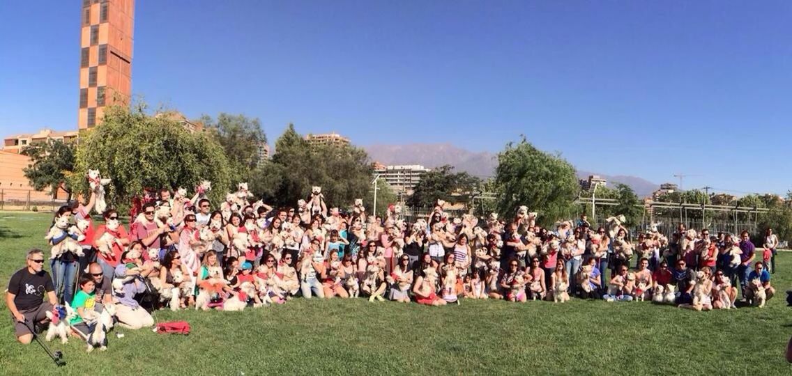 large group of people, clear sky, leisure activity, lifestyles, person, grass, men, copy space, crowd, mixed age range, enjoyment, blue, tree, fun, togetherness, relaxation, park - man made space, field, vacations