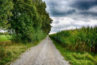 Road amidst trees on field against sky