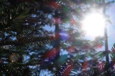 Low angle view of trees against sky