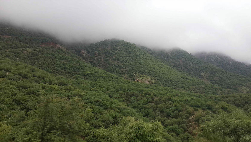 SCENIC VIEW OF MOUNTAINS IN FOGGY WEATHER