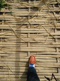 Low section of man standing on wood