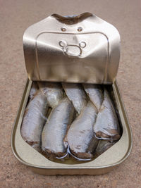 High angle view of fish in container