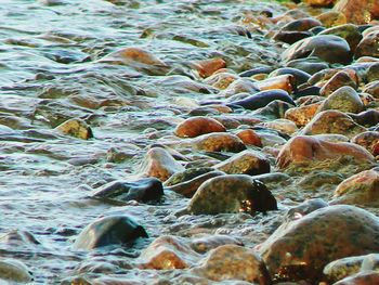 Rocks in water