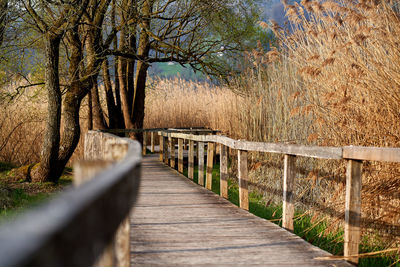 Footbridge over footpath amidst trees