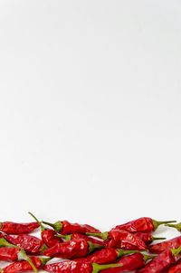 Close-up of red flower over white background