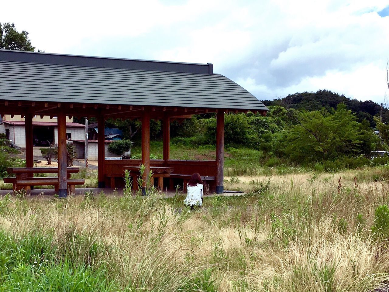 grass, built structure, architecture, building exterior, sky, house, field, tree, wood - material, grassy, abandoned, plant, growth, tranquility, day, hut, nature, wood, outdoors, no people