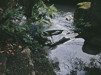 River amidst rocks