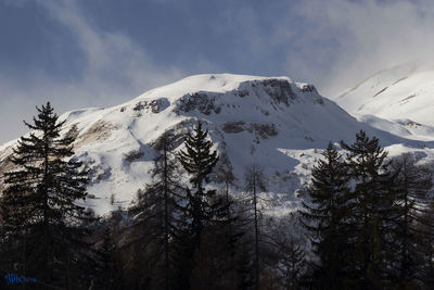 Low angle view of trees and mountains against sky