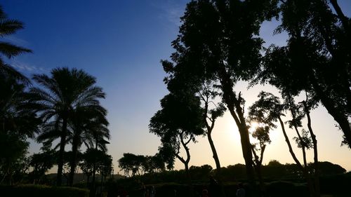 Low angle view of silhouette trees against sky