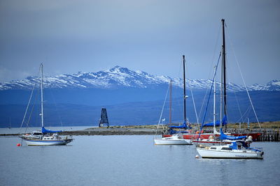 Sailboats sailing on sea against sky