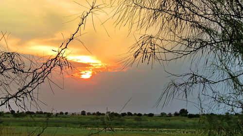 Scenic view of field against sky during sunset