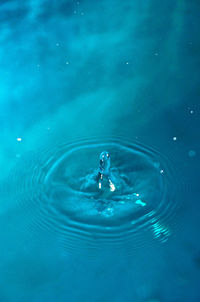 A drop of water produces a splash pattern on a calm water surfaces