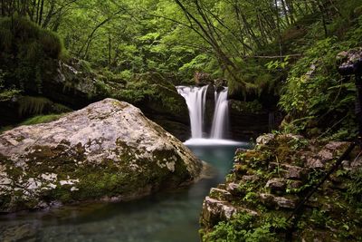 Scenic view of waterfall in forest