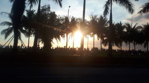 Silhouette palm trees against sky during sunset