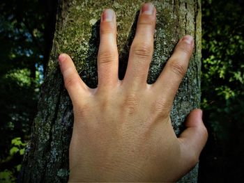 Close-up of hand on tree trunk