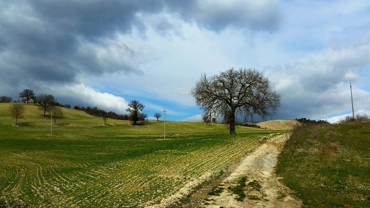 sky, landscape, field, tranquility, tranquil scene, grass, tree, cloud - sky, nature, scenics, rural scene, beauty in nature, cloudy, cloud, growth, agriculture, grassy, bare tree, non-urban scene, day