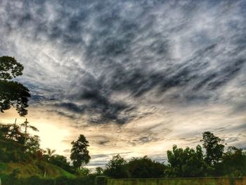 Low angle view of silhouette trees against dramatic sky