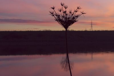 Bare tree against sky during sunset