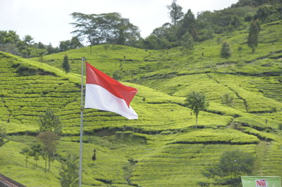 Flag on countryside landscape against clear sky