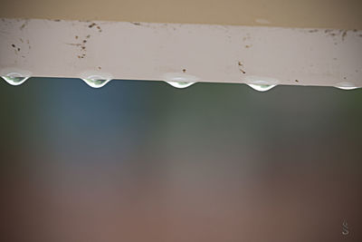 Close-up of water drops on leaf