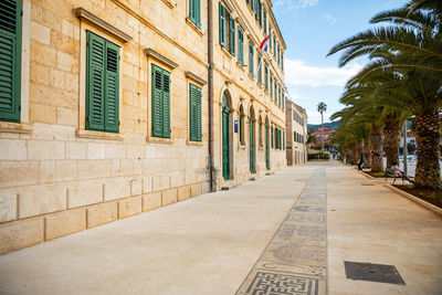 Footpath amidst palm trees and buildings in city