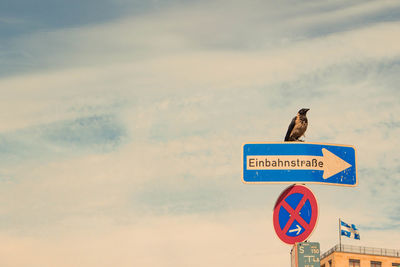 View of a bird perching on road sign against cloudy sky