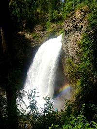 Scenic view of waterfall amidst trees