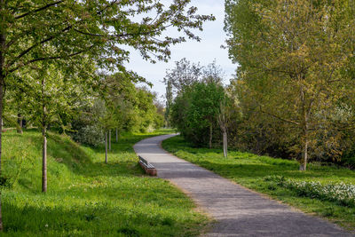 Road amidst trees against sky