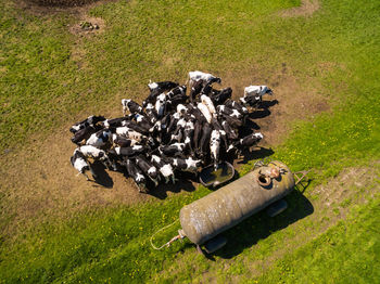 High angle view of dead plant on field