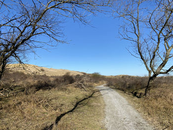 Bare tree against sky