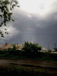 Trees on field against cloudy sky