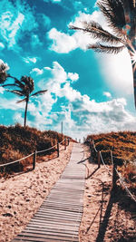 Footpath amidst palm trees on field against sky