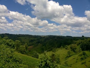 Scenic view of green landscape against sky