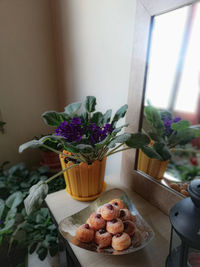 High angle view of potted plant on table at home