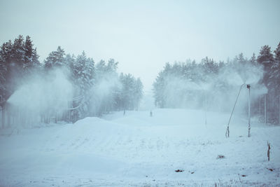 Trees on snow covered field against sky