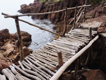 Wooden railing in sea by trees in forest